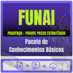 Pacote de Conhecimentos Básicos Pacotaço