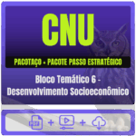 CNU - Concurso Nacional Unificado (Bloco Temático 6 - Desenvolvimento Socioeconômico) Pacotaço - Pós-Edital - 2025 - Ra