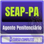 Agente Penitenciário